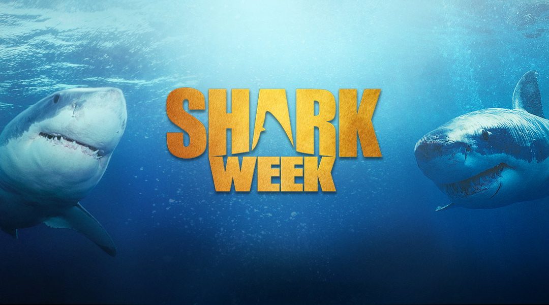 Image result for shark week